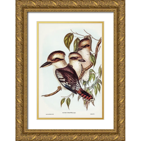 Great Brown Kingfisher-Dacelo gigantic Gold Ornate Wood Framed Art Print with Double Matting by Gould, John