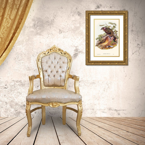 Guttated Bower-bird-Chlamydera guttata Gold Ornate Wood Framed Art Print with Double Matting by Gould, John