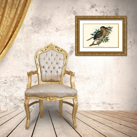 Thick-billed Green Bittern-Ardetta macrorhyncha Gold Ornate Wood Framed Art Print with Double Matting by Gould, John