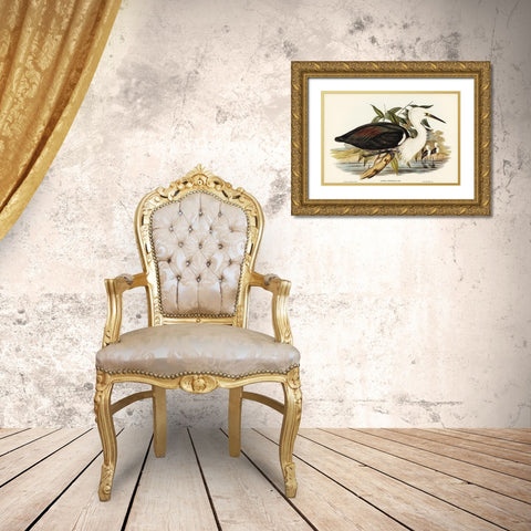 Pacific Heron-Ardea pacifica Gold Ornate Wood Framed Art Print with Double Matting by Gould, John