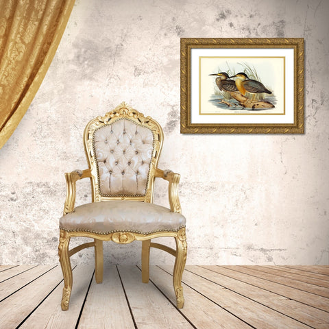 Little Grey Bittern-Ardetta stagnatilis Gold Ornate Wood Framed Art Print with Double Matting by Gould, John
