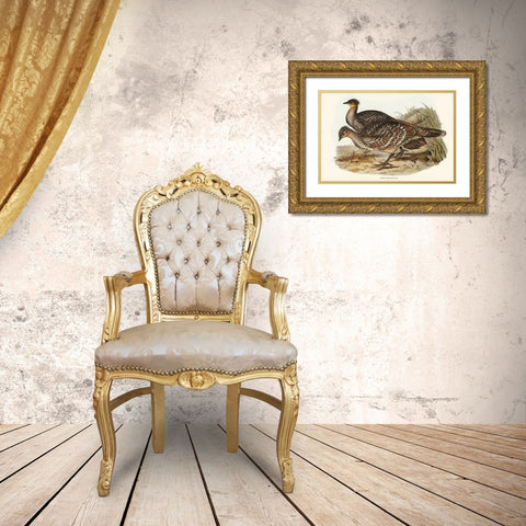 Ocellated Leipoa-Leipoa ocellata Gold Ornate Wood Framed Art Print with Double Matting by Gould, John