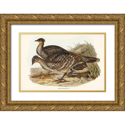 Ocellated Leipoa-Leipoa ocellata Gold Ornate Wood Framed Art Print with Double Matting by Gould, John