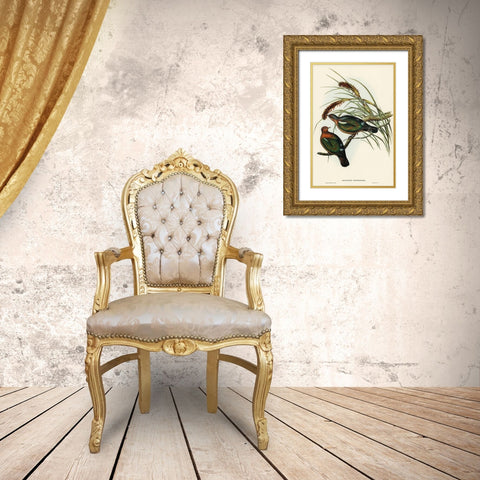 Little Green Pigeon-Chalcophaps chrysochlora Gold Ornate Wood Framed Art Print with Double Matting by Gould, John