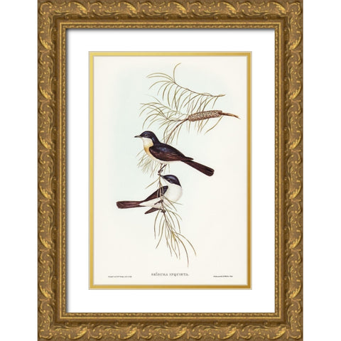 Restless Flycatcher-Seisura inquieta Gold Ornate Wood Framed Art Print with Double Matting by Gould, John