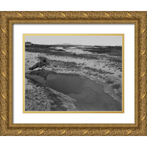 Hot Spring-Ruby Valley-Nevada Gold Ornate Wood Framed Art Print with Double Matting by OSullivan, Timothy H