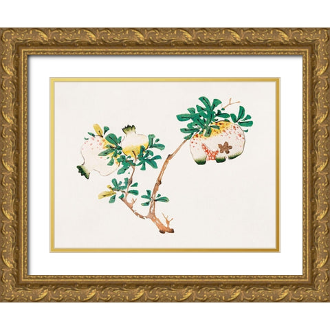 Page from Shi Zhu Zhai Pomegranite Gold Ornate Wood Framed Art Print with Double Matting by Zhengyan, Hu