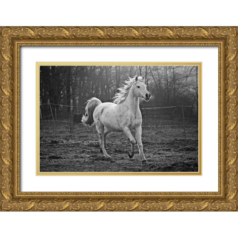 Galloping White Gold Ornate Wood Framed Art Print with Double Matting by The Yellowstone Collection