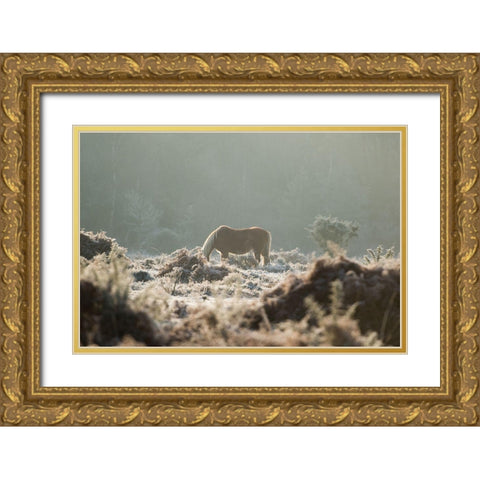 Grazing in the Shrubs Gold Ornate Wood Framed Art Print with Double Matting by The Yellowstone Collection