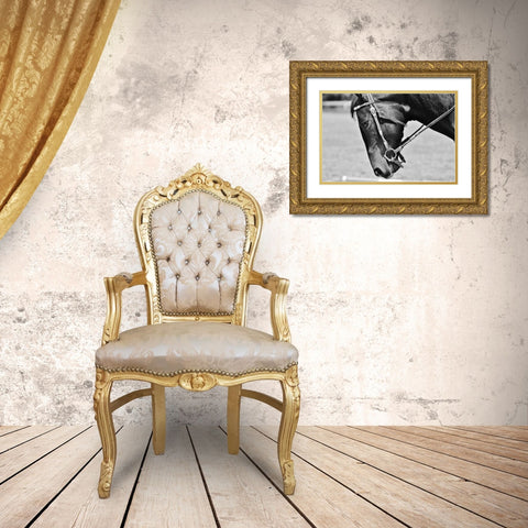 Horse in western bridle II Gold Ornate Wood Framed Art Print with Double Matting by The Yellowstone Collection