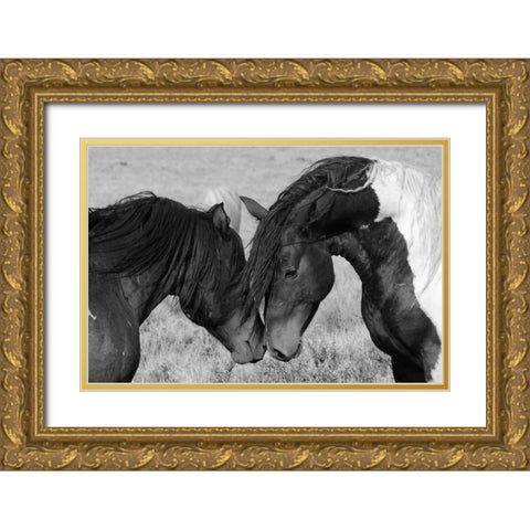Horse Kiss Gold Ornate Wood Framed Art Print with Double Matting by The Yellowstone Collection