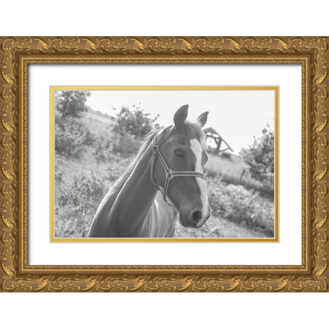 Howdy Gold Ornate Wood Framed Art Print with Double Matting by The Yellowstone Collection
