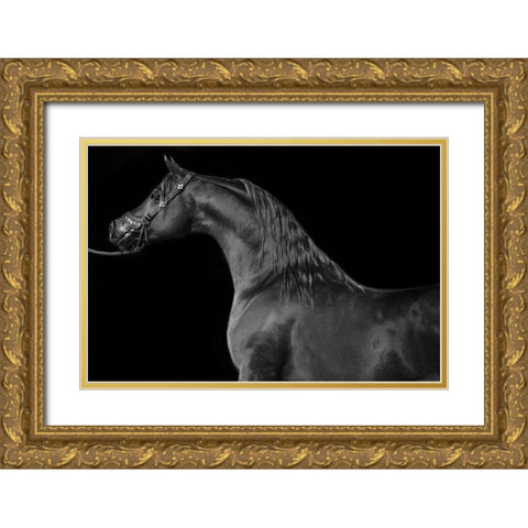 Majestic Gold Ornate Wood Framed Art Print with Double Matting by The Yellowstone Collection