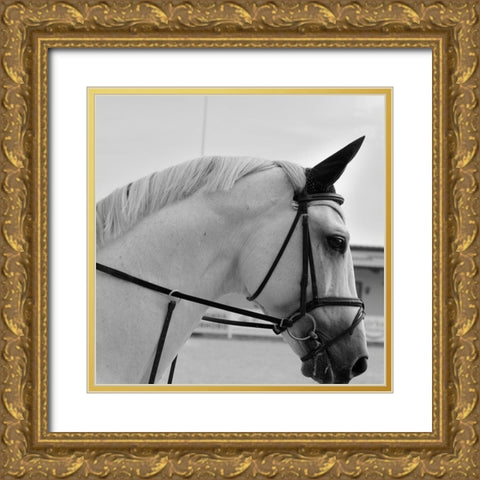 Nobility Gold Ornate Wood Framed Art Print with Double Matting by The Yellowstone Collection