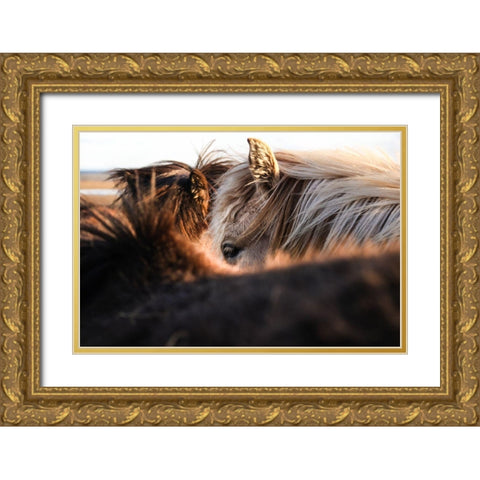 Nuzzle Gold Ornate Wood Framed Art Print with Double Matting by The Yellowstone Collection