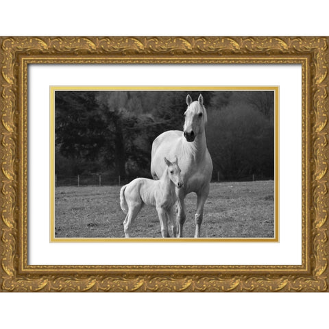 Palomino Horse and Colt Gold Ornate Wood Framed Art Print with Double Matting by The Yellowstone Collection