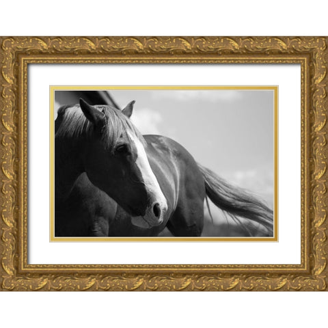 Ready to Ride Gold Ornate Wood Framed Art Print with Double Matting by The Yellowstone Collection