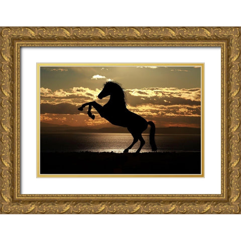 Shadow Dancer Gold Ornate Wood Framed Art Print with Double Matting by The Yellowstone Collection