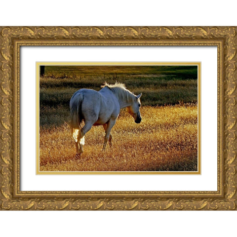 Summer Meadow II Gold Ornate Wood Framed Art Print with Double Matting by The Yellowstone Collection