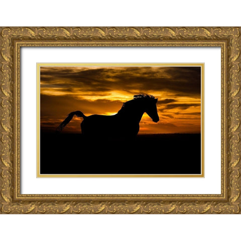 Sunset Shadow Gold Ornate Wood Framed Art Print with Double Matting by The Yellowstone Collection