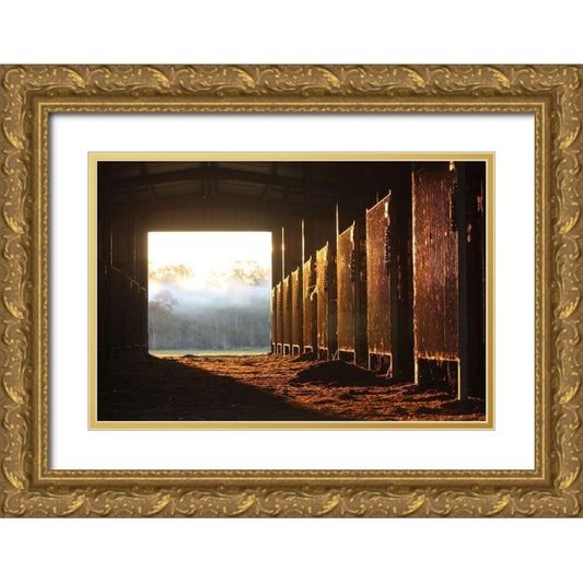 Perspective Image
