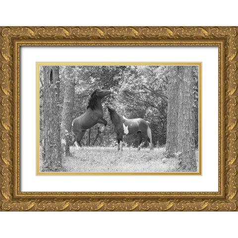 Wild Horses in the Forest Gold Ornate Wood Framed Art Print with Double Matting by The Yellowstone Collection