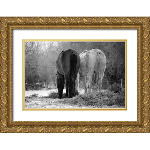 Winter Feed Gold Ornate Wood Framed Art Print with Double Matting by The Yellowstone Collection