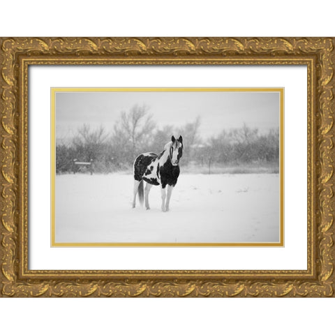 Winter Piebald Gold Ornate Wood Framed Art Print with Double Matting by The Yellowstone Collection