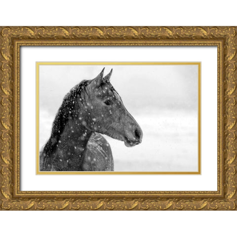 Winter Snow Gold Ornate Wood Framed Art Print with Double Matting by The Yellowstone Collection