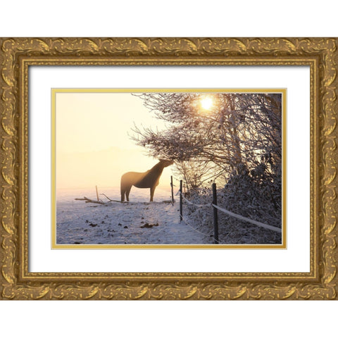 Winter Treat Gold Ornate Wood Framed Art Print with Double Matting by The Yellowstone Collection