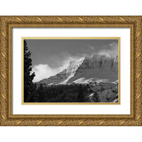 Amphitheater Mountain, Yellowstone National Park Gold Ornate Wood Framed Art Print with Double Matting by Peaco, Jim