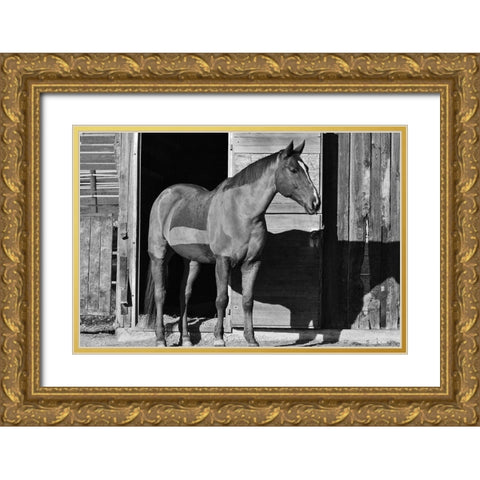 Afternoon Shadow Gold Ornate Wood Framed Art Print with Double Matting by The Yellowstone Collection