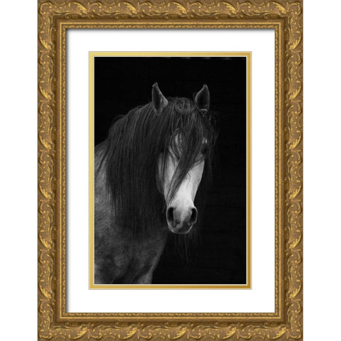 Andalusian Gold Ornate Wood Framed Art Print with Double Matting by The Yellowstone Collection