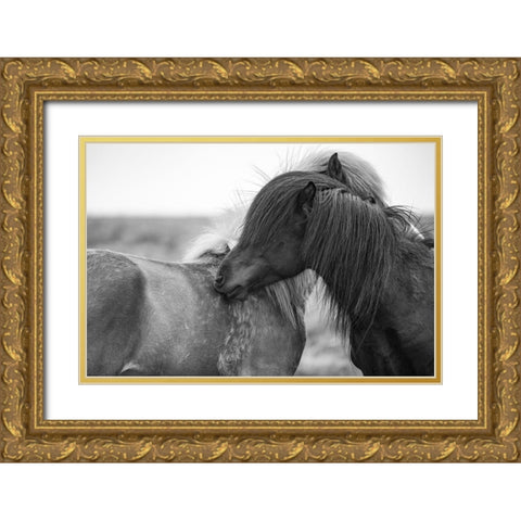 Close Friends Gold Ornate Wood Framed Art Print with Double Matting by The Yellowstone Collection