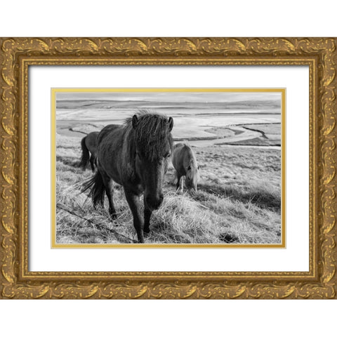 Dry Grass Lunch Gold Ornate Wood Framed Art Print with Double Matting by The Yellowstone Collection
