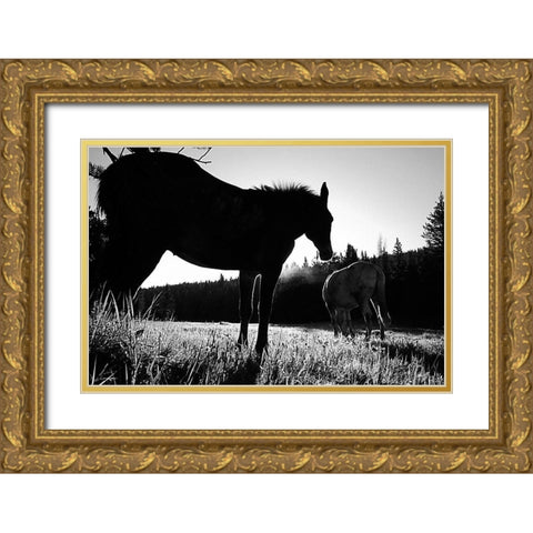 Frank Church-River of No Return Wilderness, Payette National Forest II Gold Ornate Wood Framed Art Print with Double Matting by The Yellowstone Collection