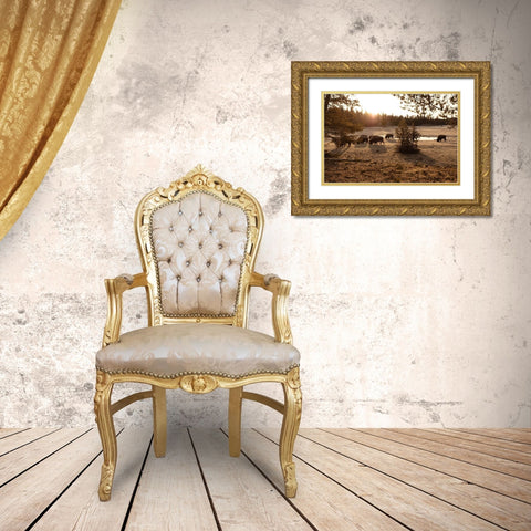Bison graze near Norris Junction, Yellowstone National Park Gold Ornate Wood Framed Art Print with Double Matting by The Yellowstone Collection