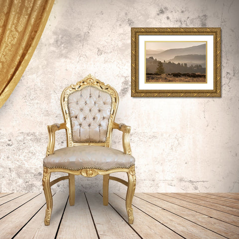 Bison herd, Lamar Valley, Yellowstone National Park Gold Ornate Wood Framed Art Print with Double Matting by The Yellowstone Collection