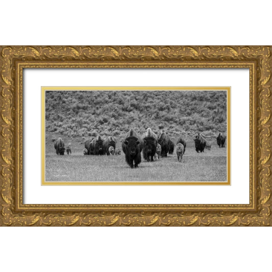 Perspective Image