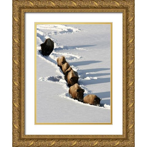 Bison near Tower Junction, Yellowstone National Park Gold Ornate Wood Framed Art Print with Double Matting by Peaco, Jim