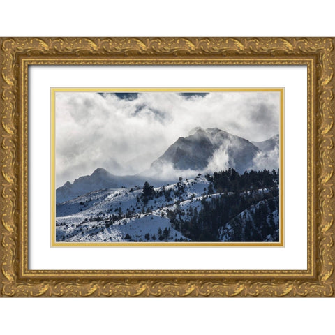 Blowing Snow, Electric Peak, Yellowstone National Park Gold Ornate Wood Framed Art Print with Double Matting by The Yellowstone Collection