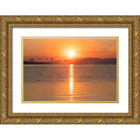 Canada Geese on Yellowstone Lake, Yellowstone National Park Gold Ornate Wood Framed Art Print with Double Matting by The Yellowstone Collection
