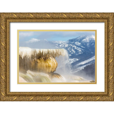 Canary Spring, Mammoth Hot Springs, Yellowstone National Park Gold Ornate Wood Framed Art Print with Double Matting by The Yellowstone Collection