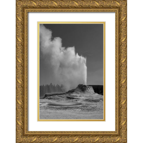Castle Geyser, Yellowstone National Park Gold Ornate Wood Framed Art Print with Double Matting by Renkin, Diane