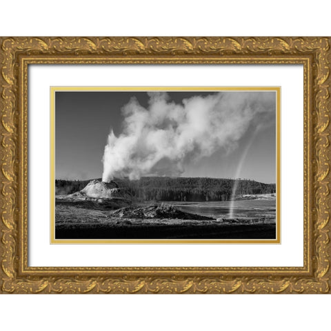 Castle Geyser Eruption, Yellowstone National Park Gold Ornate Wood Framed Art Print with Double Matting by Frank, Jacob W.