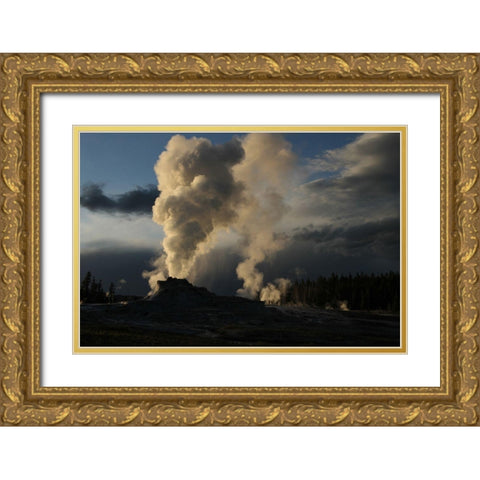 Castle Geyser in Upper Geyser Basin, Yellowstone National Park Gold Ornate Wood Framed Art Print with Double Matting by Peaco, Jim