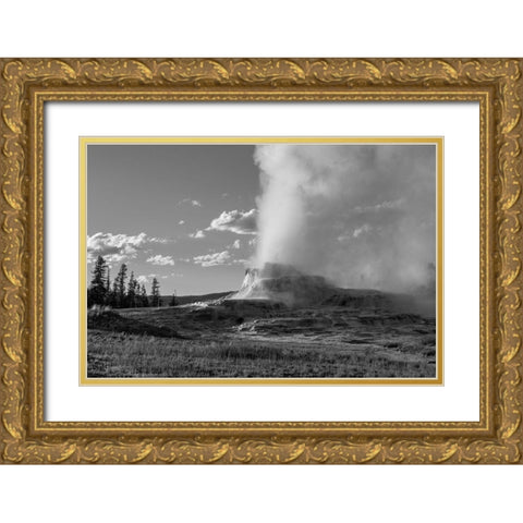 Castle Geyser late Evening, Yellowstone National Park Gold Ornate Wood Framed Art Print with Double Matting by Frank, Jacob W.