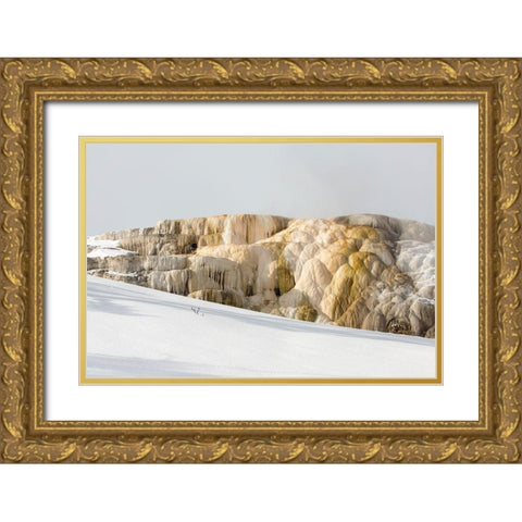 Cleopatra Spring, Mammoth Hot Springs, Yellowstone National Park Gold Ornate Wood Framed Art Print with Double Matting by The Yellowstone Collection