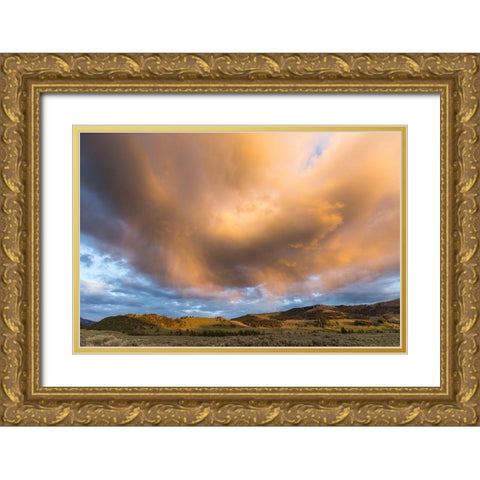 Cleopatra Spring, Mammoth Hot Springs, Yellowstone National Park Gold Ornate Wood Framed Art Print with Double Matting by The Yellowstone Collection