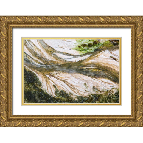 Colorful Bacteria at Mammoth Hot Springs, Yellowstone National Park Gold Ornate Wood Framed Art Print with Double Matting by The Yellowstone Collection
